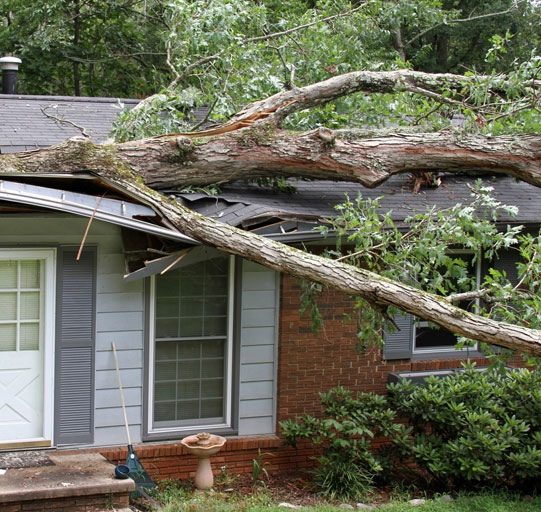 Storm Damage Removal Atlanta