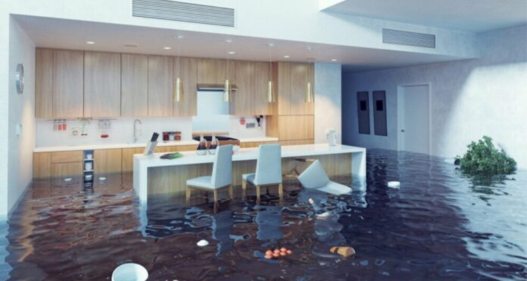 Water Damage Restoration Service in St Louis, MO