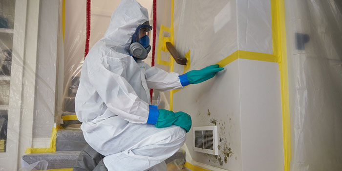 Mold Remediation Company Des Moines