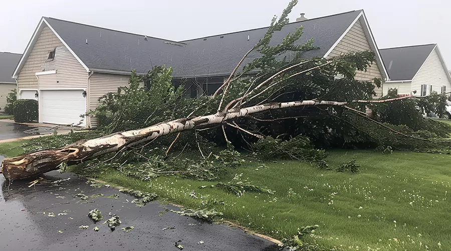 How to Deal with Storm Damage A Comprehensive Guide fixes