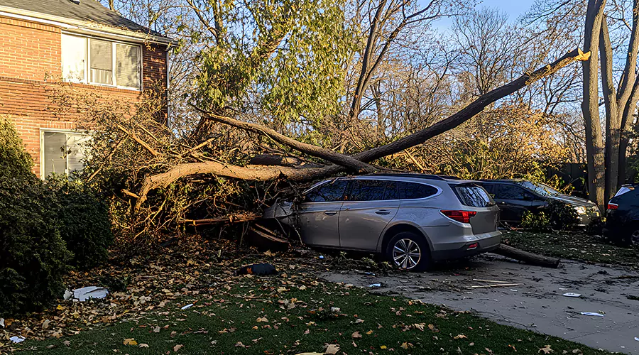 How to Deal with Storm Damage A Comprehensive Guide