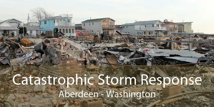 Catastrophic Storm Response Aberdeen - Washington
