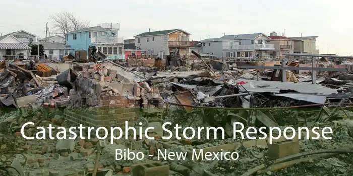 Catastrophic Storm Response Bibo - New Mexico