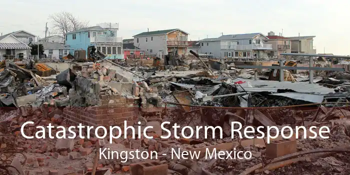 Catastrophic Storm Response Kingston - New Mexico