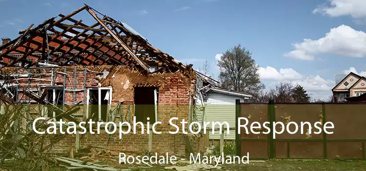 Catastrophic Storm Response Rosedale - Maryland