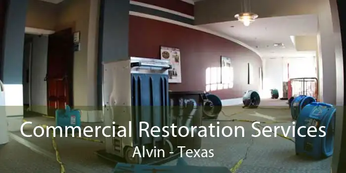 Commercial Restoration Services Alvin - Texas