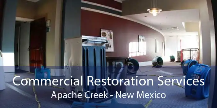 Commercial Restoration Services Apache Creek - New Mexico