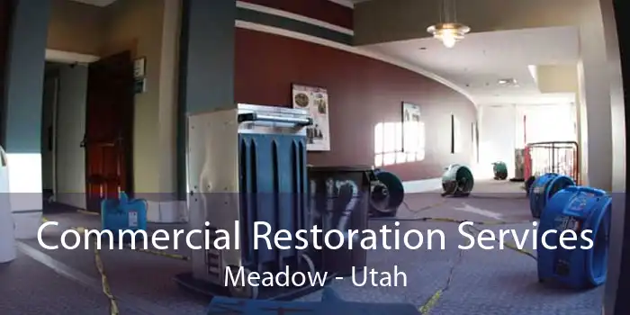 Commercial Restoration Services Meadow - Utah