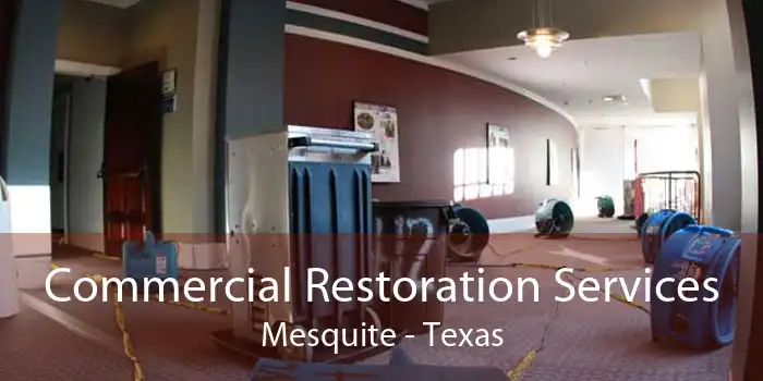 Commercial Restoration Services Mesquite - Texas