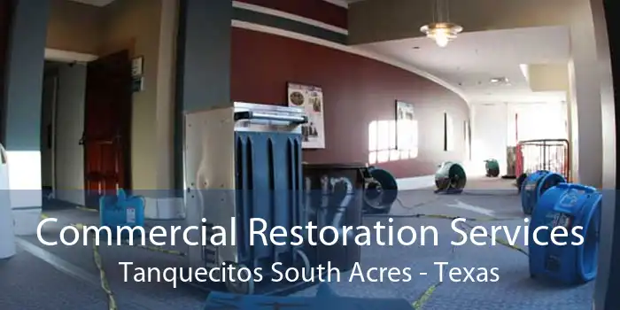 Commercial Restoration Services Tanquecitos South Acres - Texas