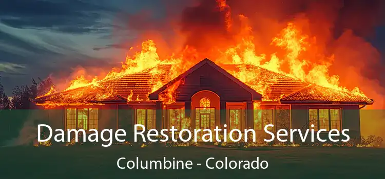 Damage Restoration Services Columbine - Colorado