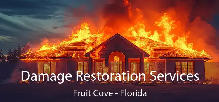 Damage Restoration Services Fruit Cove - Florida