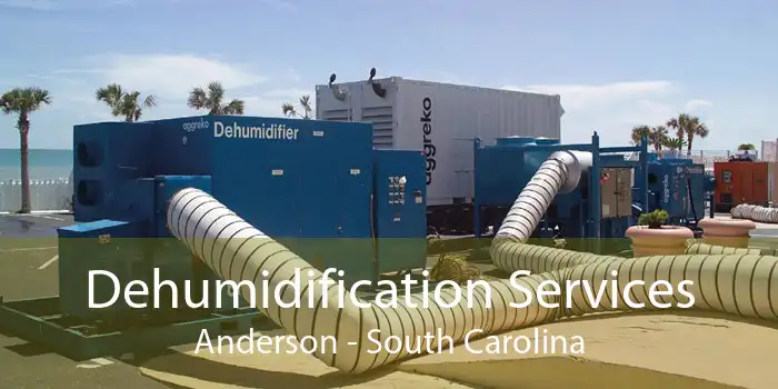 Dehumidification Services Anderson - South Carolina