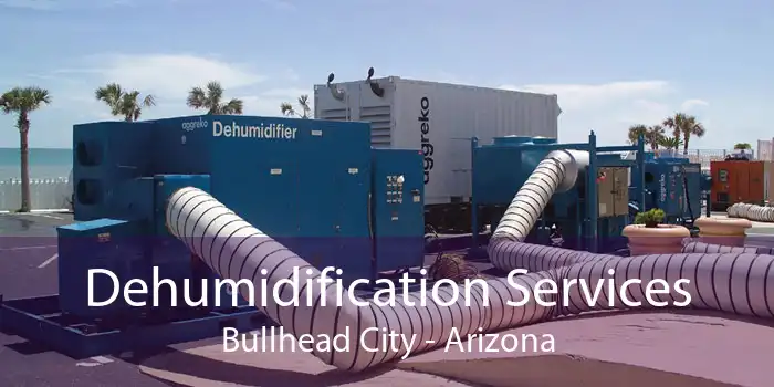 Dehumidification Services Bullhead City - Arizona