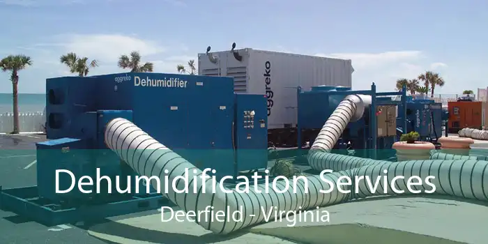 Dehumidification Services Deerfield - Virginia