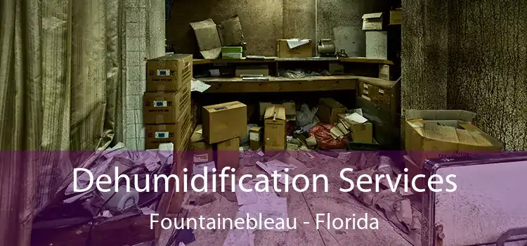 Dehumidification Services Fountainebleau - Florida