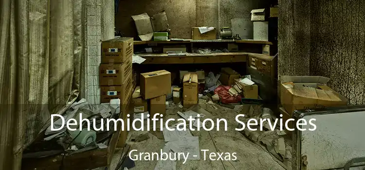 Dehumidification Services Granbury - Texas