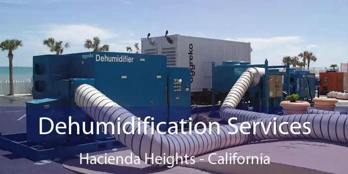 Dehumidification Services Hacienda Heights - California