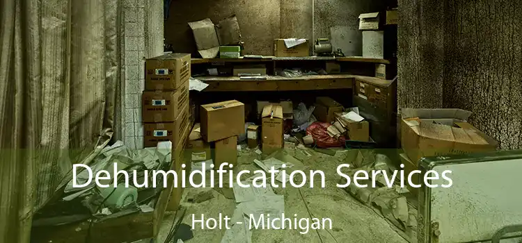 Dehumidification Services Holt - Michigan