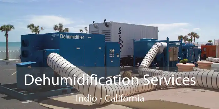 Dehumidification Services Indio - California