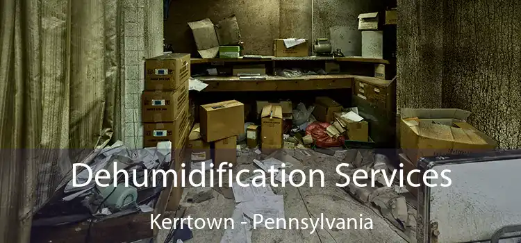 Dehumidification Services Kerrtown - Pennsylvania