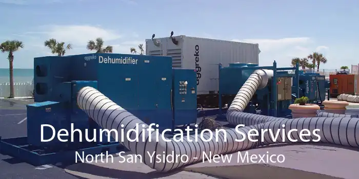 Dehumidification Services North San Ysidro - New Mexico