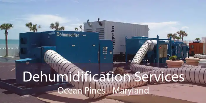 Dehumidification Services Ocean Pines - Maryland