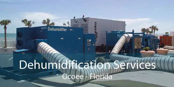 Dehumidification Services Ocoee - Florida