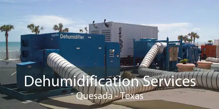 Dehumidification Services Quesada - Texas