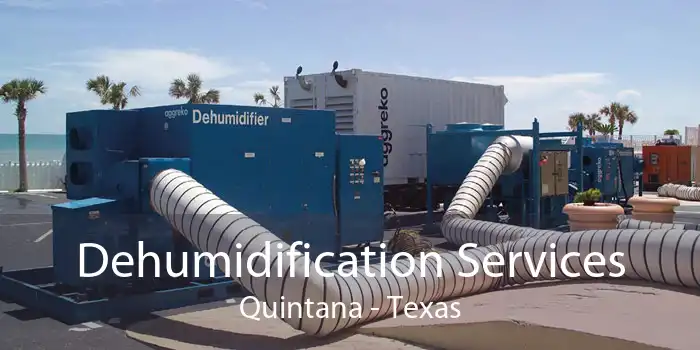 Dehumidification Services Quintana - Texas