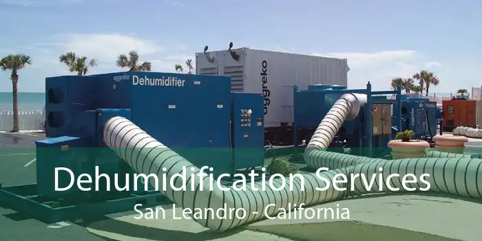 Dehumidification Services San Leandro - California