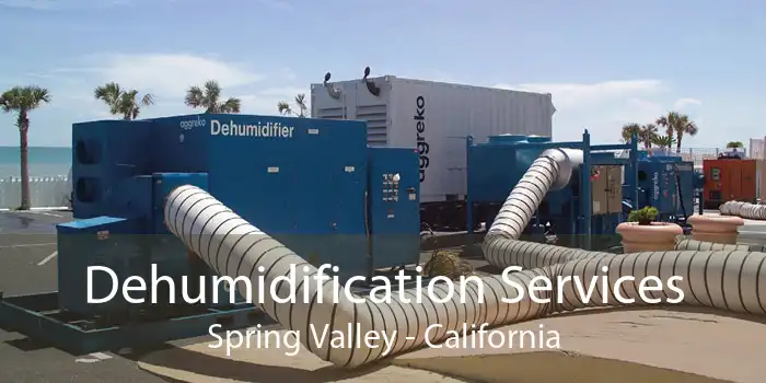 Dehumidification Services Spring Valley - California