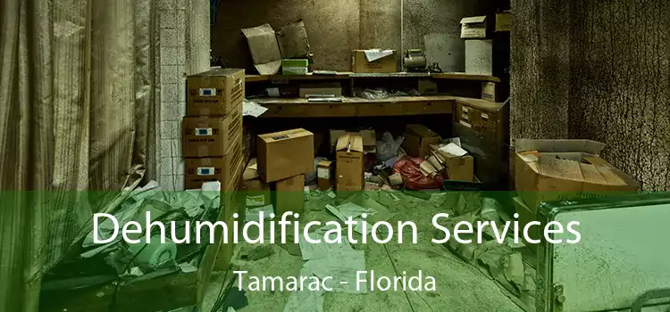 Dehumidification Services Tamarac - Florida