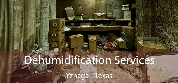 Dehumidification Services Yznaga - Texas