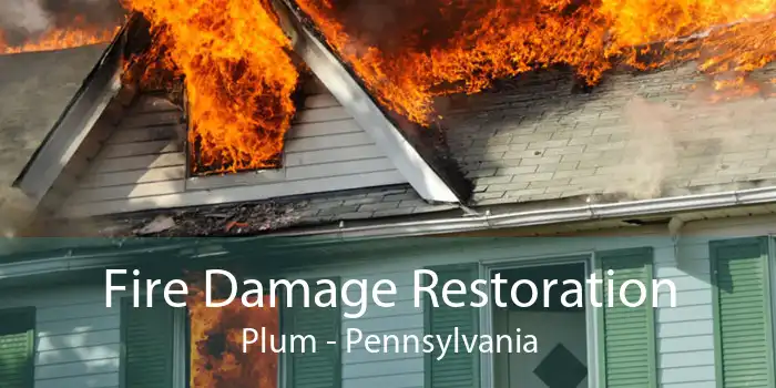 Fire Damage Restoration Plum - Pennsylvania