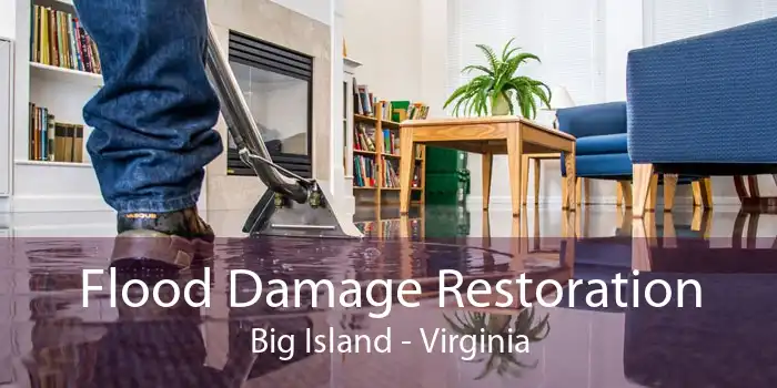 Flood Damage Restoration Big Island - Virginia