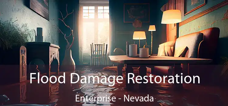 Flood Damage Restoration Enterprise - Nevada