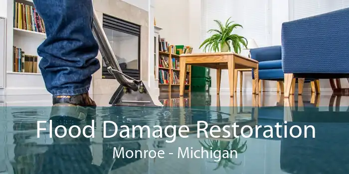 Flood Damage Restoration Monroe - Michigan