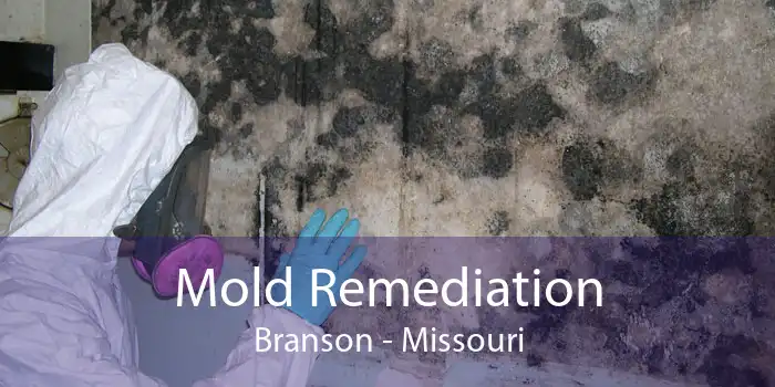 Mold Remediation Branson - Missouri