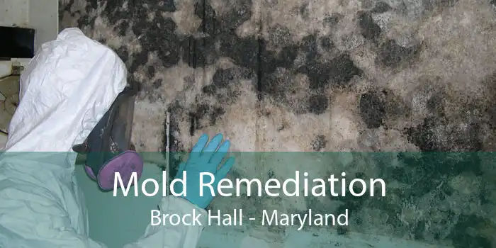 Mold Remediation Brock Hall - Maryland