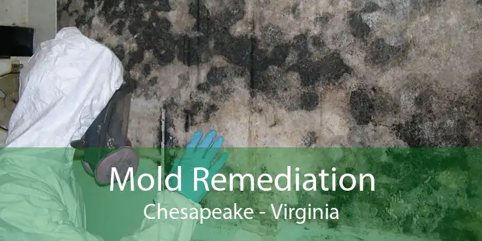 Mold Remediation Chesapeake - Virginia