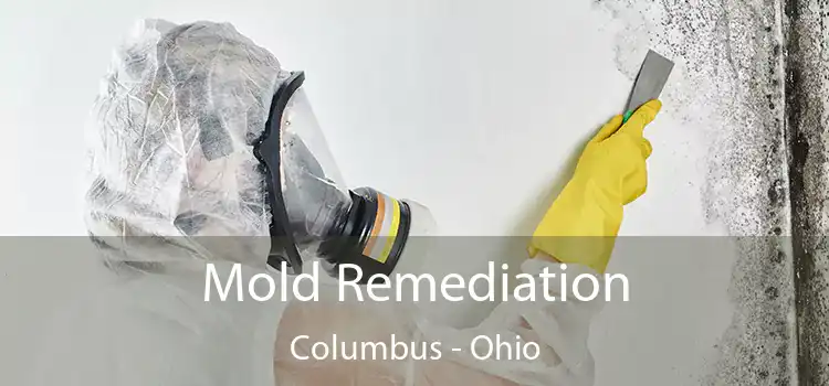 Mold Remediation Columbus - Ohio