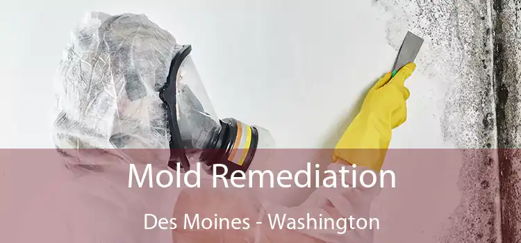 Mold Remediation Des Moines - Washington