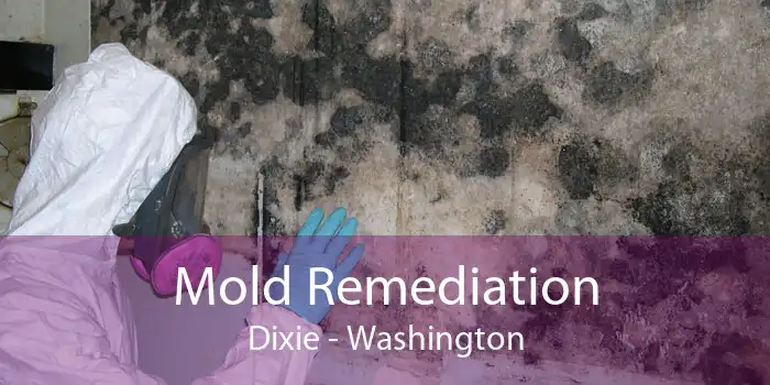 Mold Remediation Dixie - Washington