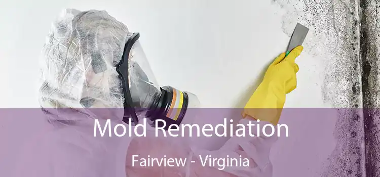 Mold Remediation Fairview - Virginia