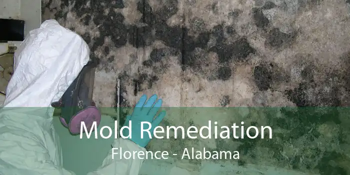 Mold Remediation Florence - Alabama