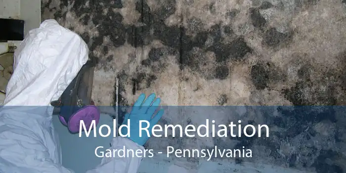 Mold Remediation Gardners - Pennsylvania