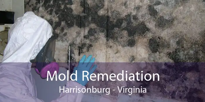 Mold Remediation Harrisonburg - Virginia