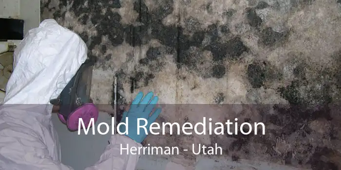 Mold Remediation Herriman - Utah