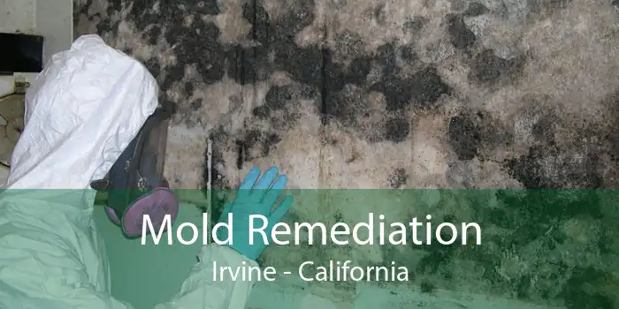 Mold Remediation Irvine - California